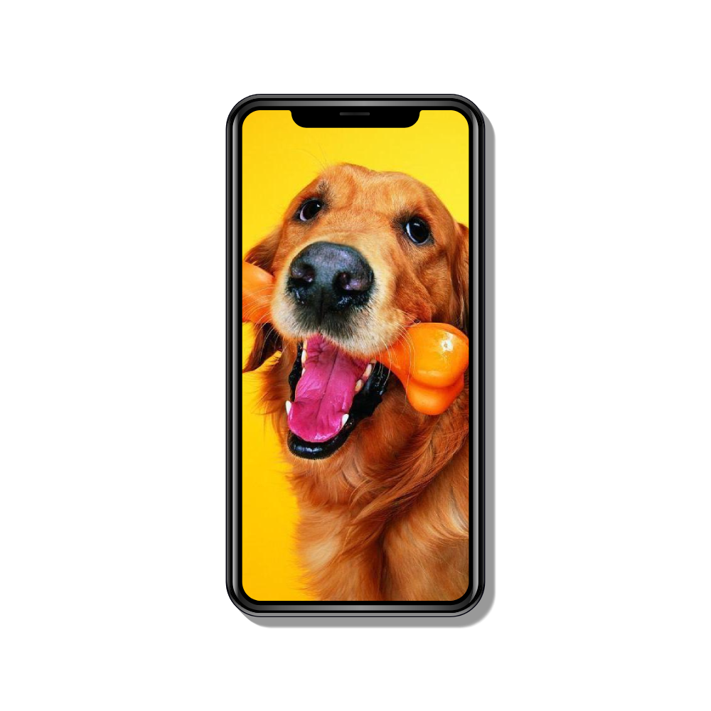 iphone-mockup